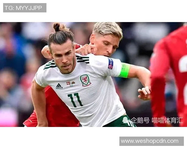 丹麦与威尔士足球对决全面分析战术特点与球队状态