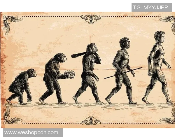 亚当斯的传奇人生与科学探索之路揭示了人类智慧的无限可能