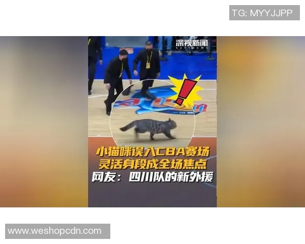 四川对决广东直播盛况回顾精彩瞬间全场焦点尽在掌握之中