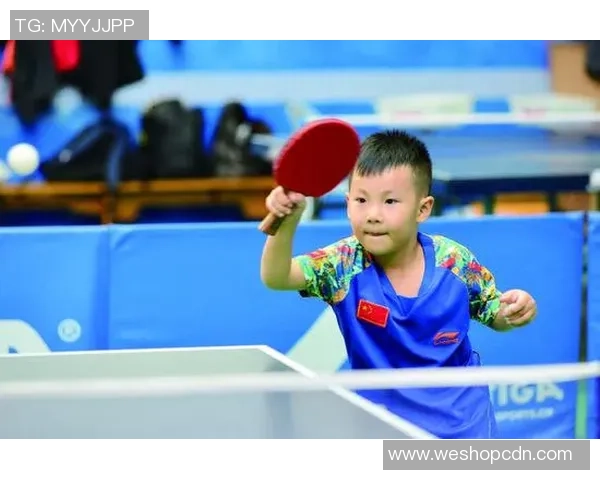 对话赵磊：回顾乒乓球生涯与未来展望的深度交流